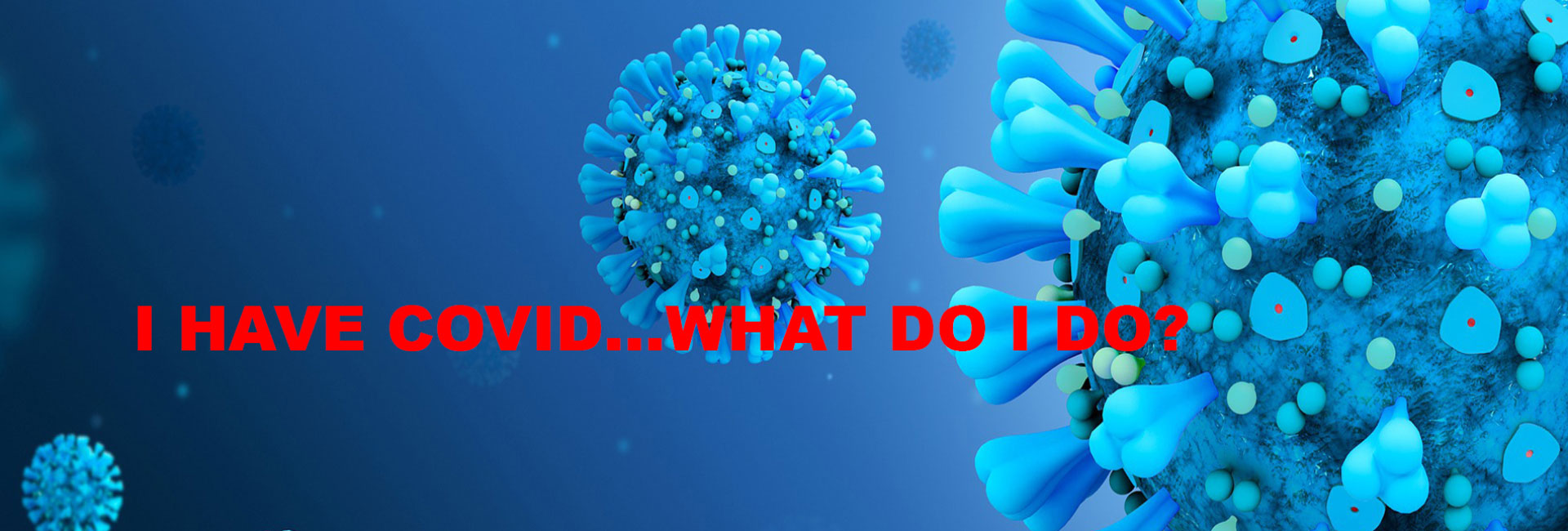 'I HAVE COVID…WHAT DO I DO?'    GUIDELINES FOR THE VACCINATED & UNVACCINATED