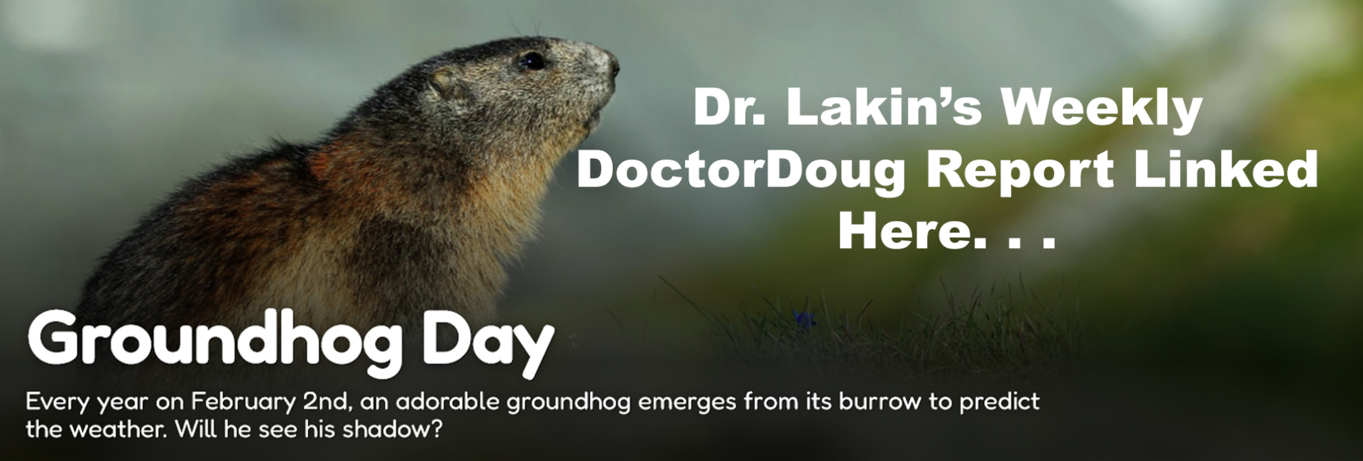 Information For Our Patients: 'The Weekly DoctorDoug Report'