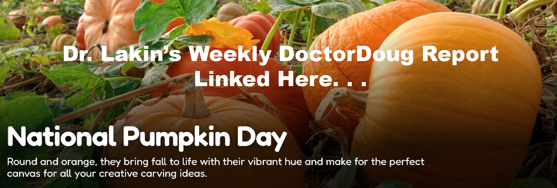 Information For Our Patients: 'The Weekly DoctorDoug Report'