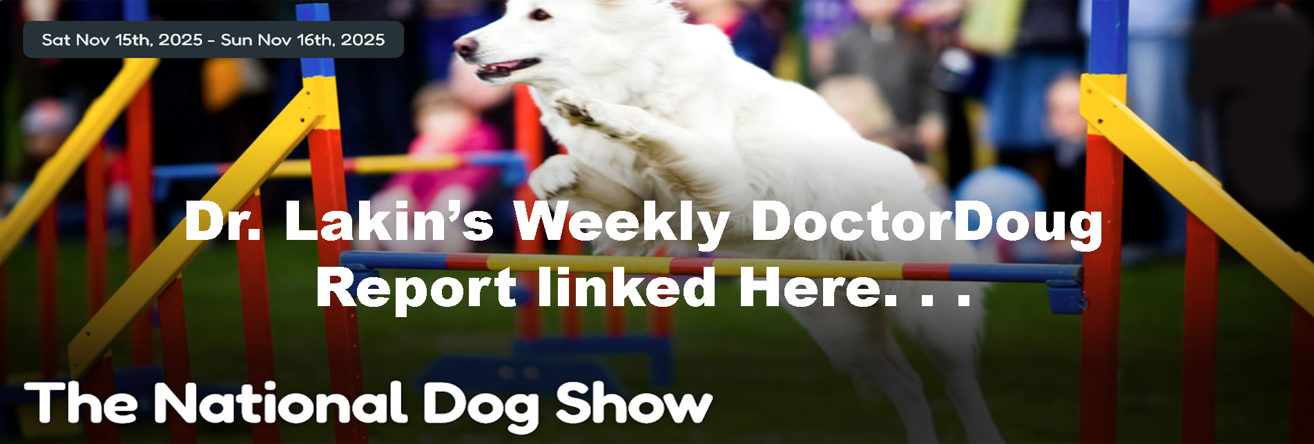 Information For Our Patients: 'The Weekly DoctorDoug Report'