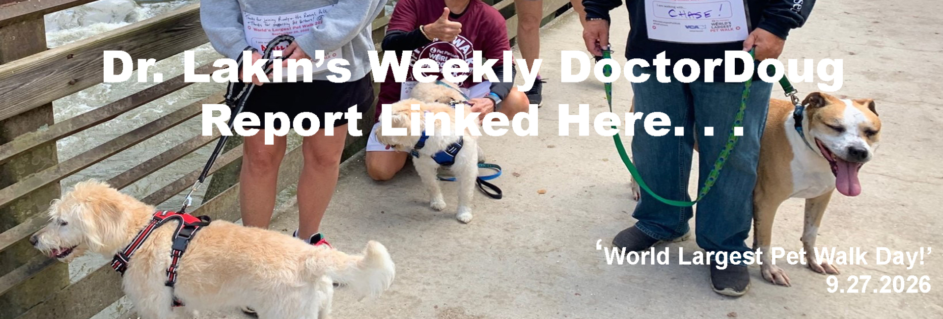Information For Our Patients: 'The Weekly DoctorDoug Report'